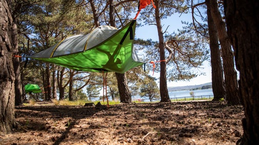 Tree tents at Brownsea Campsite, Poole